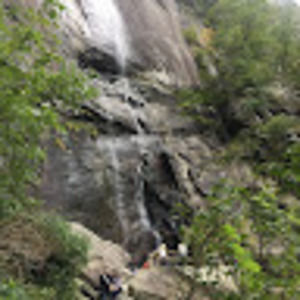 Meet your Posher, K. williams